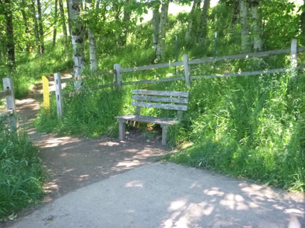 Paved Mt View Trail transitions to natural surface - bench in tall grass - directional signage